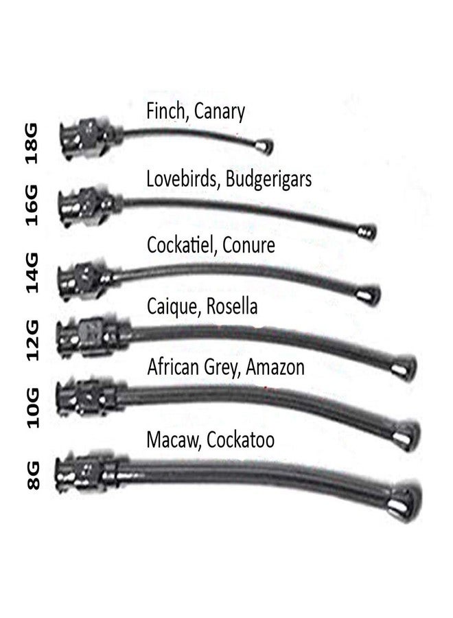 سايج سكوير محقنة تغذية يدوية مربعة قابلة للتعديل من سيج مع مجموعة كاملة للطيور والجراء والقطط والكلاب والقطط والهامستر (100 مل) - Image 3